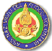 vfv-logo.gif (24121 byte)